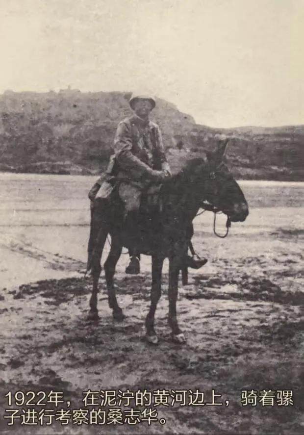 藏品20万+，这座博物馆“看宝”又“出片”！