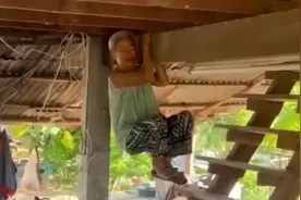 泰国80岁老太太被蛇吓到，抓住房梁跳起来避险图片