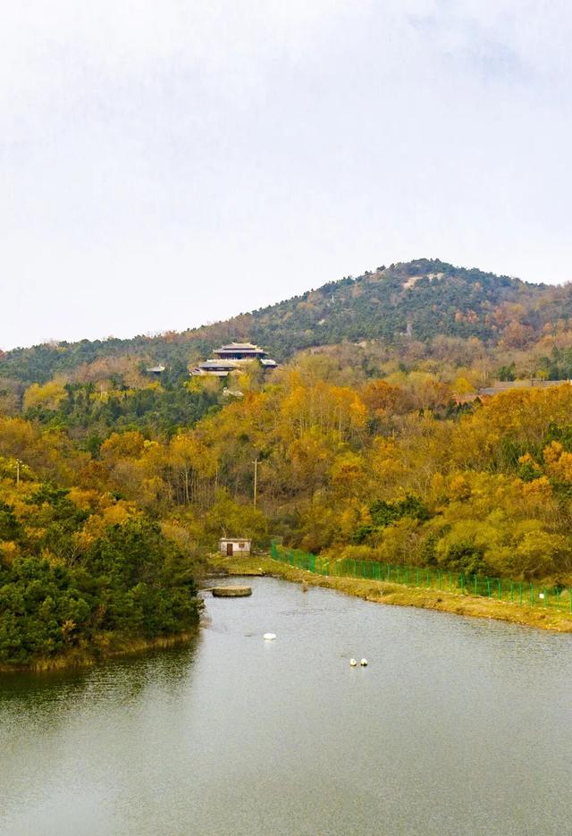 山景正宜人！青岛这里的山，已美到Next level