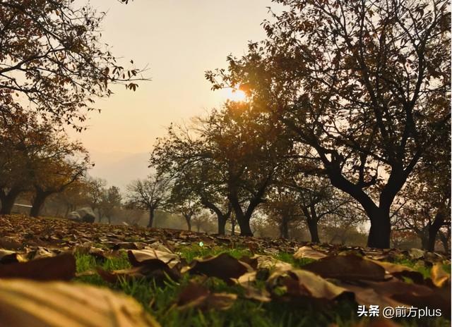 半价游西安！冬日景区福利上线