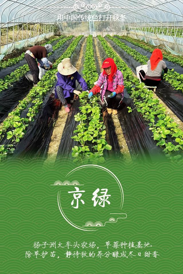 绝美！用中国传统色打开东湖的秋冬