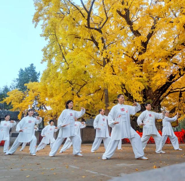 过境地→目的地！日照究竟有哪些吸引力？今天，中国文化报重点关注！