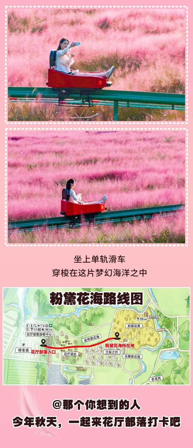 朋友圈顶流预告！花厅部落粉黛即将刷屏！