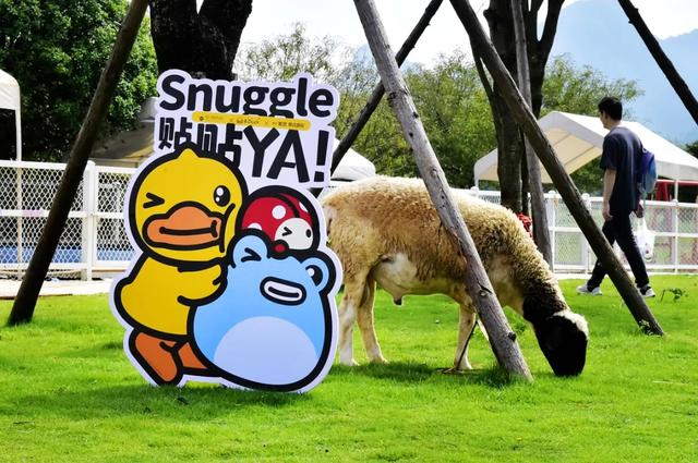 桂林:小黄鸭飞进桂海晴岚!