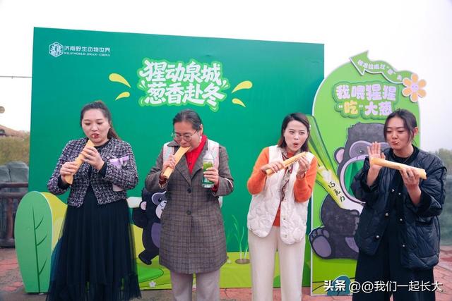 入乡随俗天花板！山东黑猩猩 “巧克力” 啃章丘大葱，萌化了