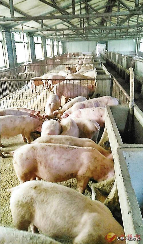 52年前，那个轰动一时的“白卷英雄”张铁生，如今过得怎样了？