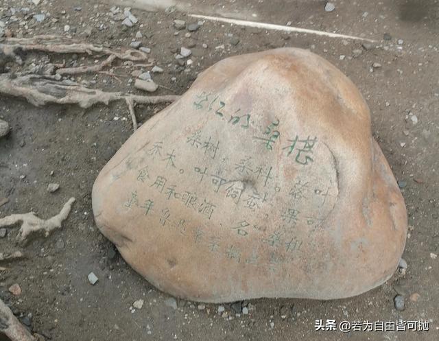 每个人眼中的风景真的不同：绍兴游玩小记