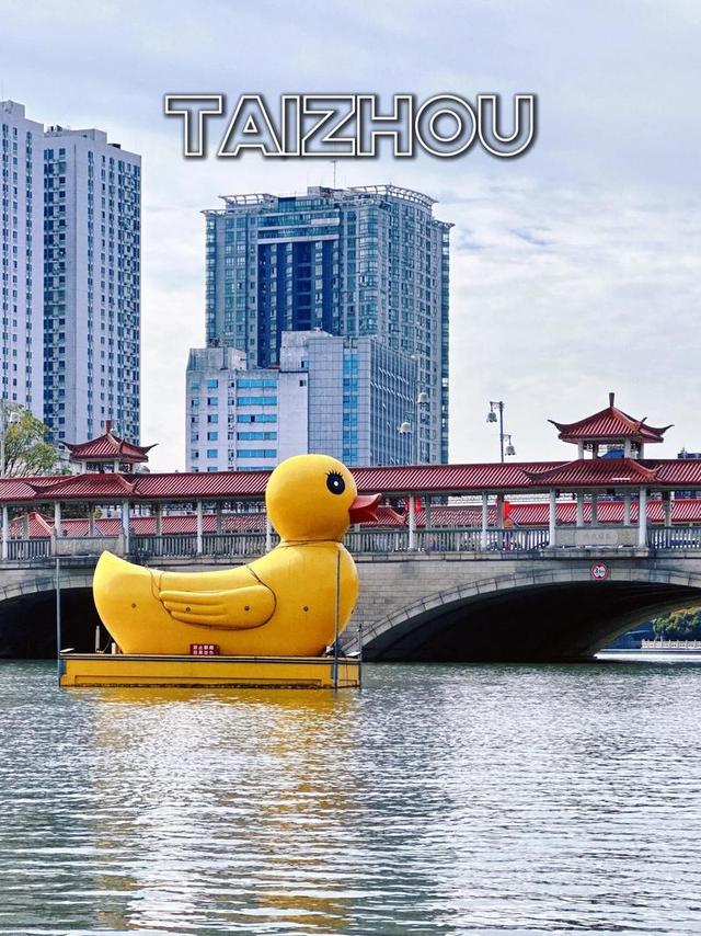 慢煮水城，泰州时光：一份不赶路的深度漫游指南