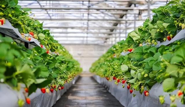 太全面了！8条游玩线路+京郊汤泉！带您玩转北京这里！（1）