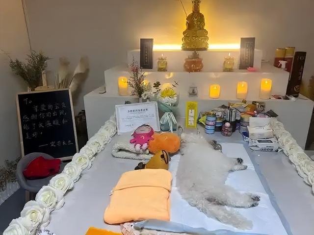 从景德镇陶瓷到曹县棺材，宠物殡葬产业链藏着哪些商机？