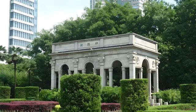 中山公园的菊花