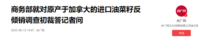 中国两天重锤4国，背刺没好下场！美专家：中国将是下一个领导者