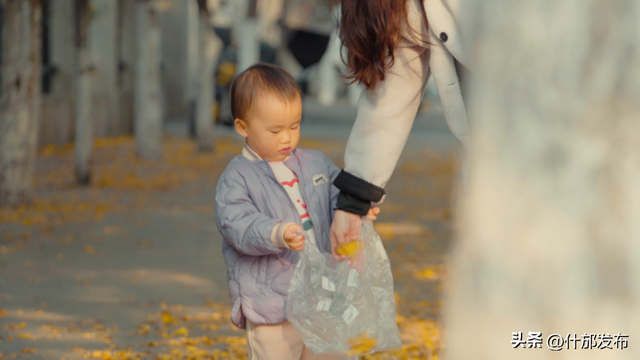 暖阳斜洒，“杏”好有你