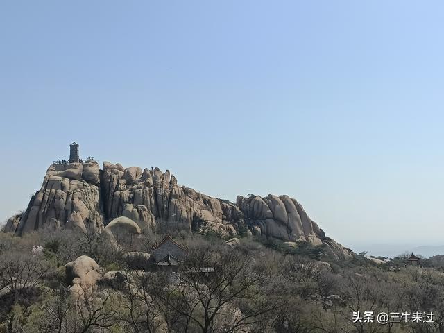 无为在歧路，2025之经行