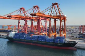 河北向海起新潮图片