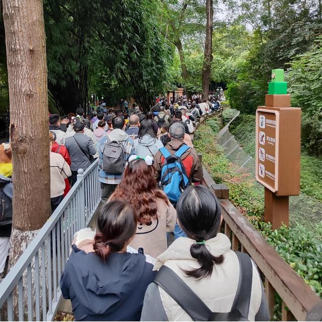 2026马年春节假期，全国最堵十大景区出炉：一眼望不到边的人头！