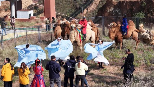 明日抵达!阿拉善驼队来绍兴了