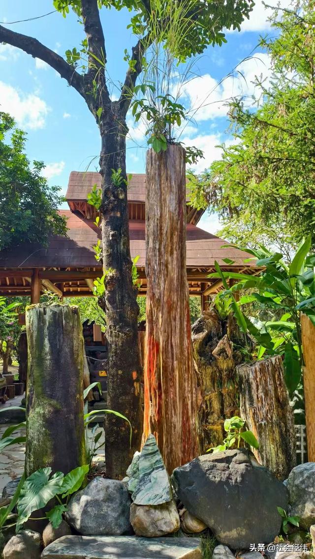 【每日一景】云南德宏勐巴娜西珍奇园