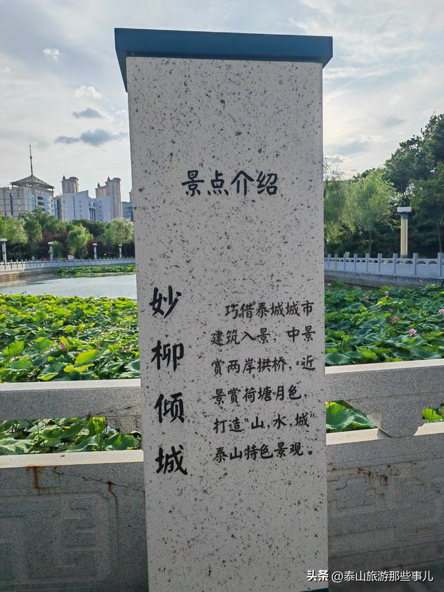 泰安：泰山下这个城市公园，耗资4700万元打造，藏着4处惊艳风景