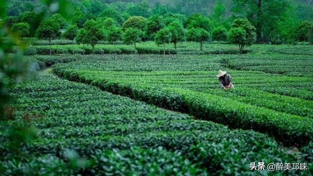 近悦远来 玩转邛崃 | 一日游微度假旅游路线推荐