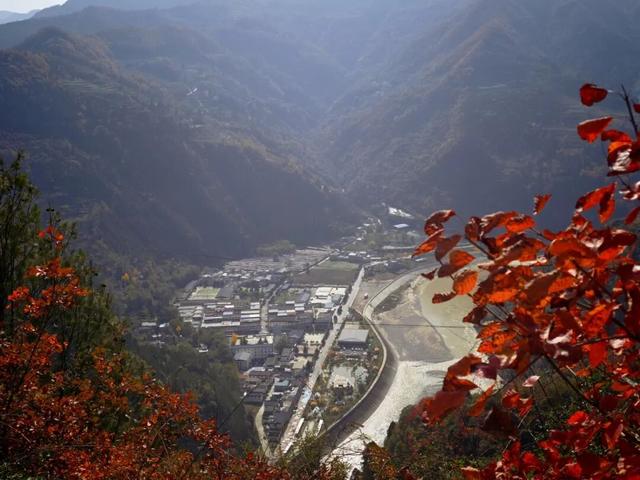 【千里嘉陵江 虞关好风光】北雀观景台红叶燃遍两岸，这份秋日限定美景请查收