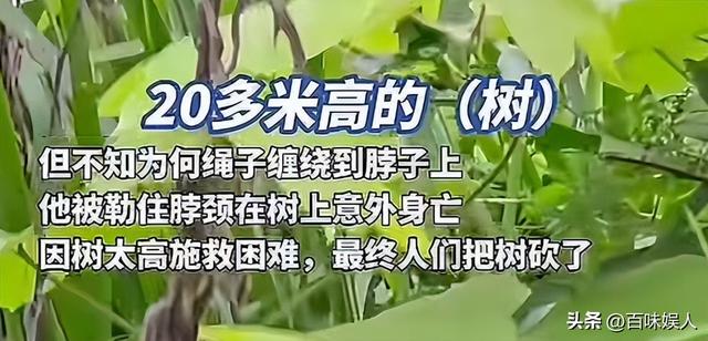 男子取蜂蛹被绳子缠脖身亡，目击者发声曝细节：树上卡了3个小时