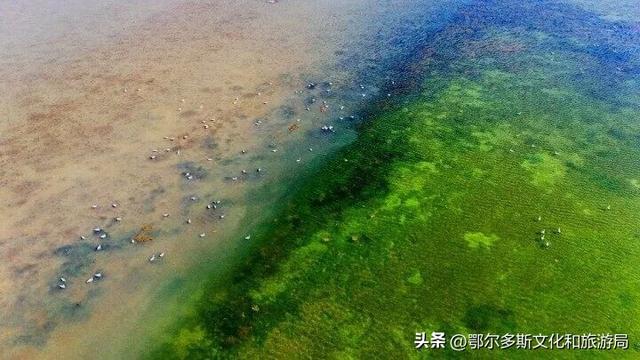 美到失语！秋天的七星湖，是上帝打翻的调色盘
