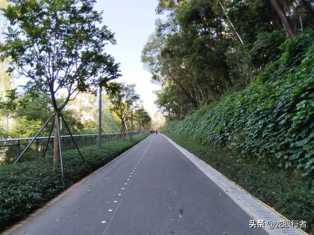 从地铁口出发，游逛刚刚开放的鲲鹏径二号及三号桥