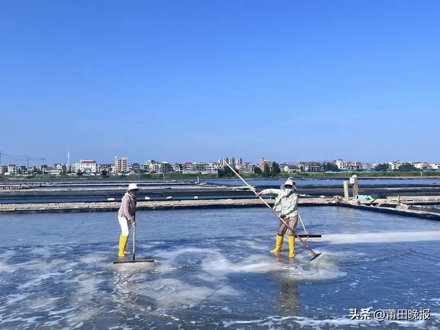 晚报记者带你探寻千年盐场的生态密码