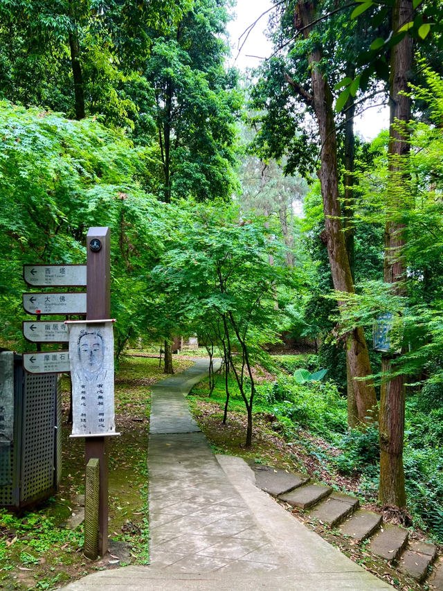 邛崃白鹤山千年绿道，成都0.5h直达，玩转古寺禅意+森系秘境！