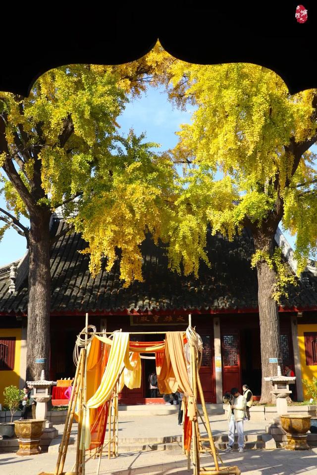抓住秋天的尾巴！出发苏州这5个赏秋圣