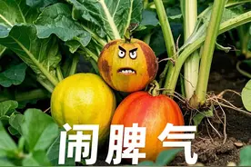 如何避免蔬果“折寿”？图片