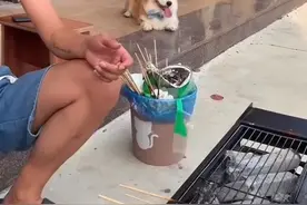 柯基被全村最潦草的狗子霍霍了，生娃堪比开盲盒~图片