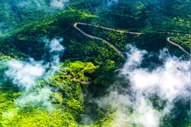 关于加强甘肃秦岭地区生态环境保护的意见图片