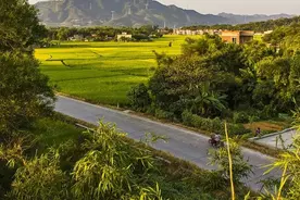 我的土地未进行确权登记，难道就不归我了吗？图片