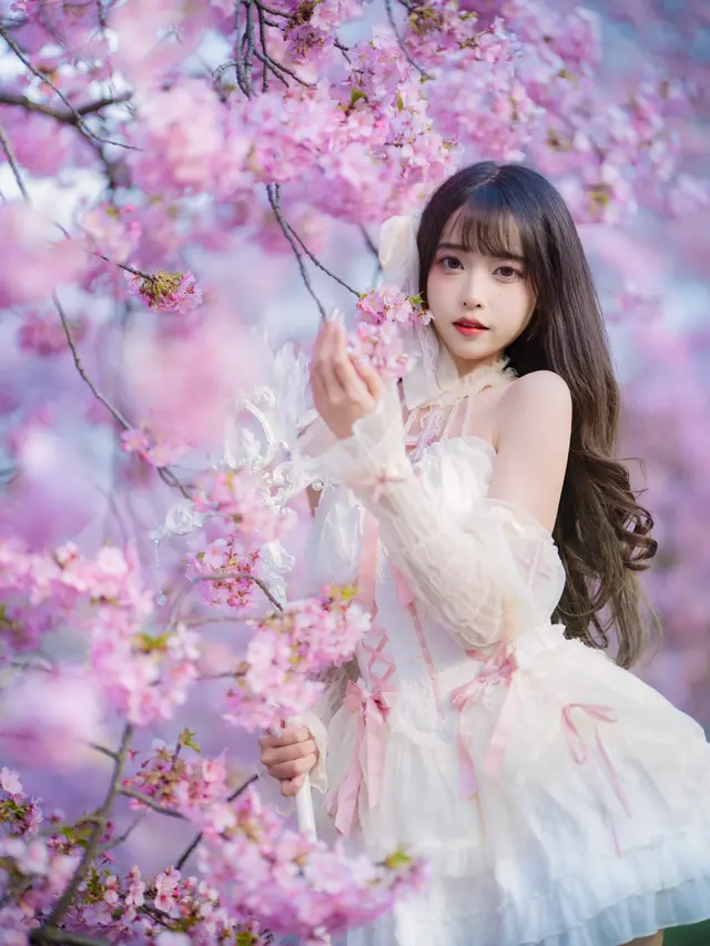 白丝洛丽塔少女樱花写真