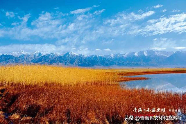 今日立冬丨倏忽秋已尽 今朝恰立冬