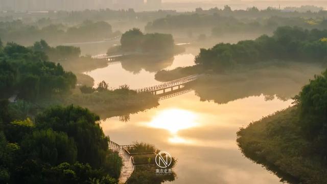 都说，生态城有仙气