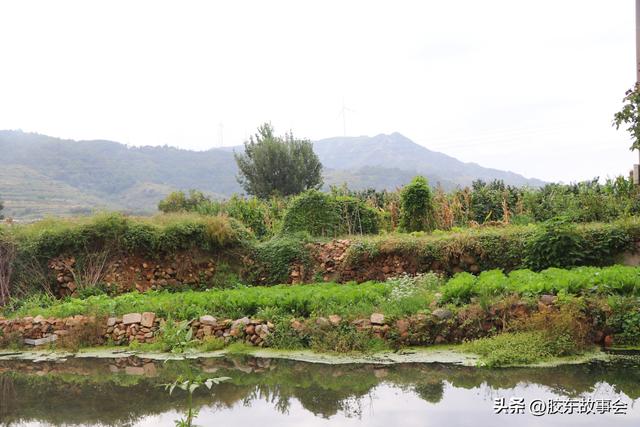 胶东游记：三访海阳“黑崮村”