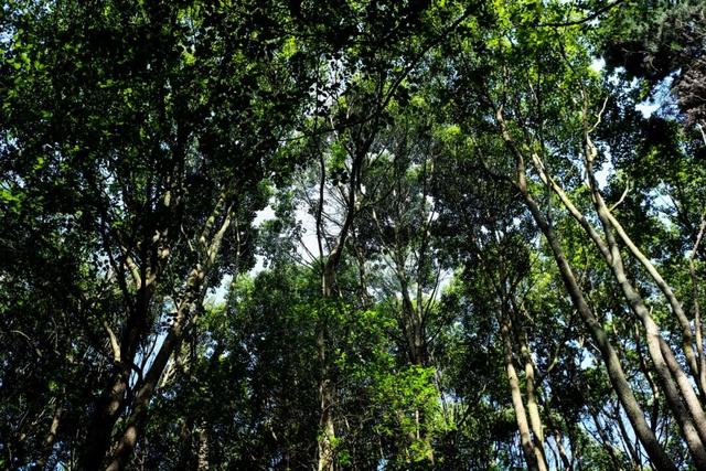 这个“名牌加身”的西南山城，正适合淡季来玩！