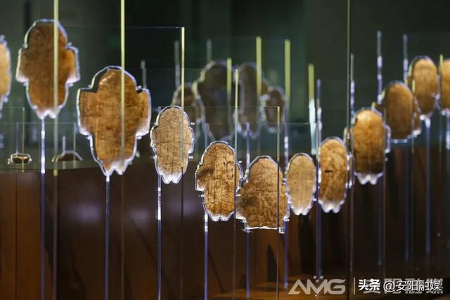 外地游客看安阳丨这座古都凭什么一夜顶流？