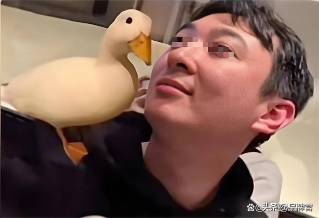 “鸭中爱马仕”跌落神坛，从上万一只到300元甩卖无人在意！