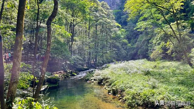 画中游：张家界金鞭溪大峡谷的仙境漫步