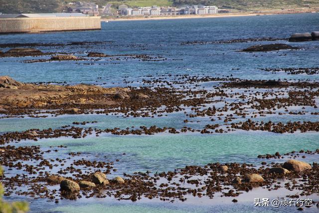 南部非洲：南非开普敦企鹅岛