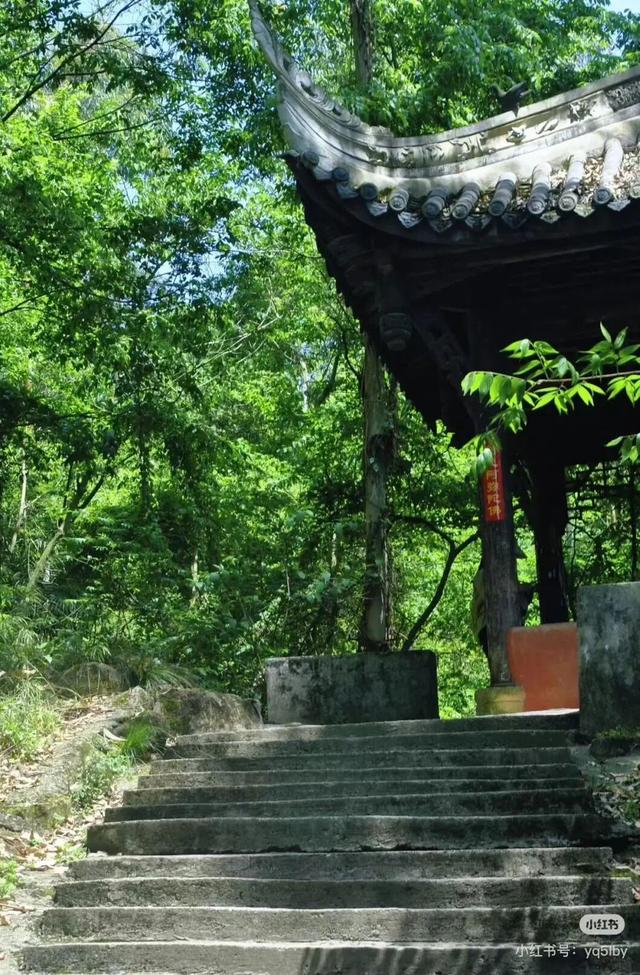周末出国！高铁20min直达最美异域小城！风光极致美食无敌，入秋满城银杏美哭！