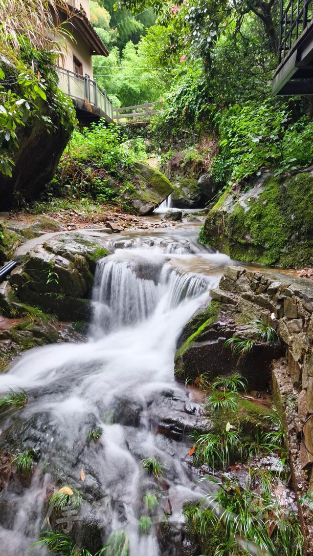 皖浙摩旅二人转——松阳横坑村篇（下）