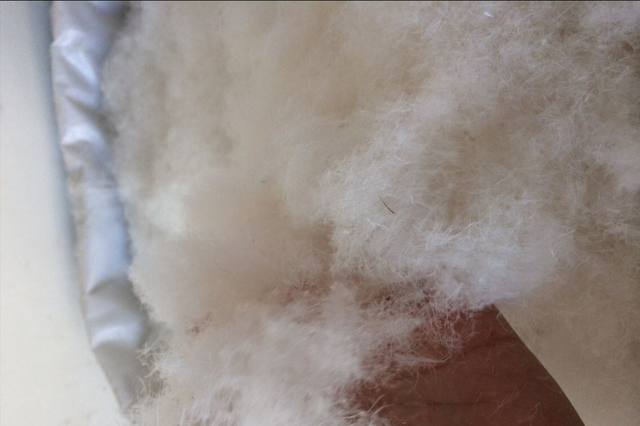 活鸭120元，做成烤鸭25元！利润还有36%，得知原因后：敢放心吃了