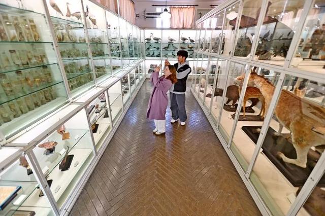 藏品20万+，这座博物馆“看宝”又“出片”！