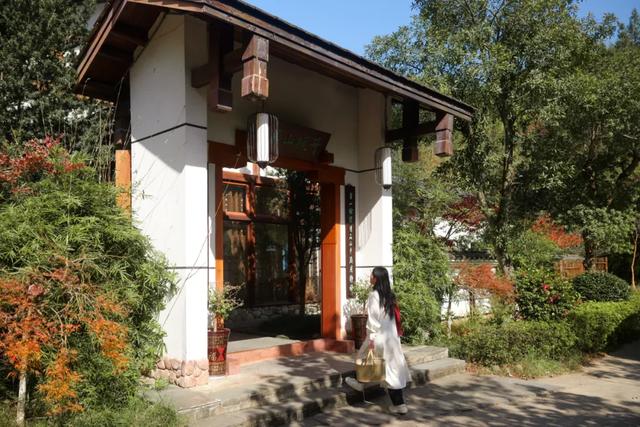 可惜你不听《枫》，不知道醴陵这片枫林到底有多美！