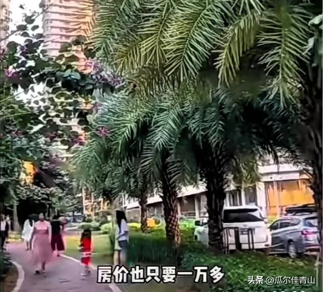 东方市凭什么？碾压三亚、海口，成为东北人避寒首选之地？